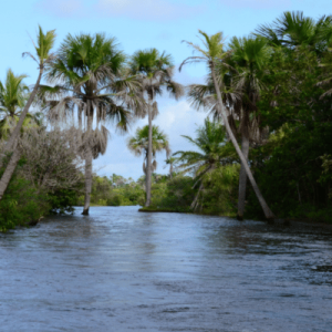 Rio Preguiças